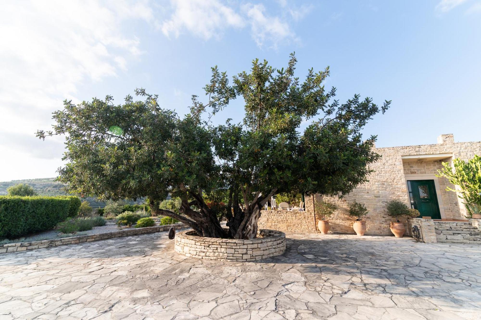 Carob Villa Moírai المظهر الخارجي الصورة
