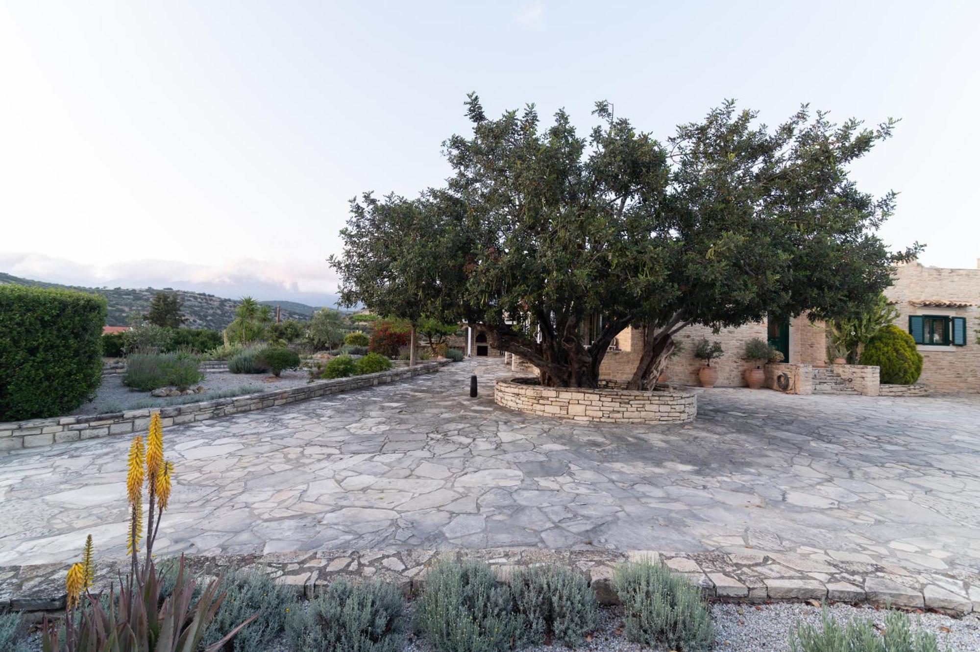Carob Villa Moírai المظهر الخارجي الصورة